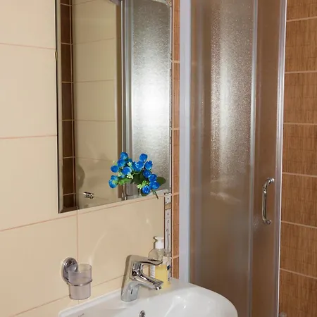 Sobe I Apartmani Kety Kragujevac Room photo